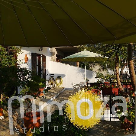 Mimoza Studios Скиатос Экстерьер фото